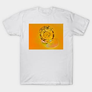 Crystal shine T-Shirt